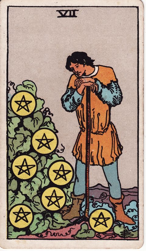 ペンタクルの7（Seven of Pentacles）のカード画像。ライダー版タロット