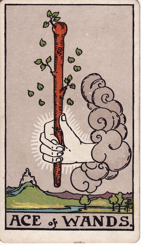 ワンドのエース（Ace of Wands）のカード画像。ライダー版タロット