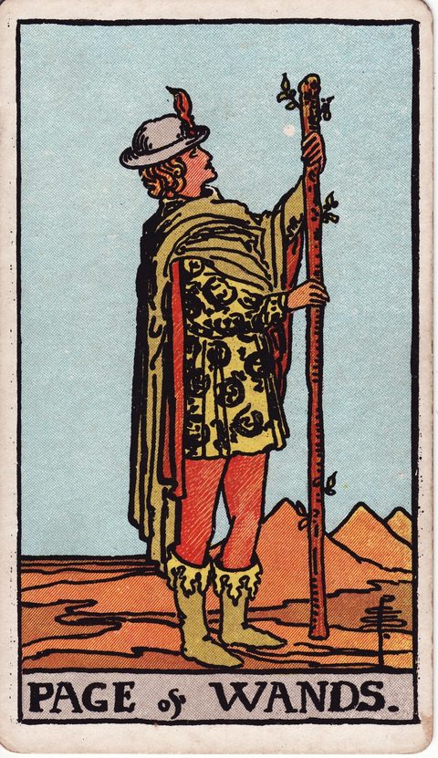 ワンドのペイジ（Page of Wands）のカード画像。ライダー版タロット